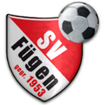 Fügen logo